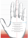 FELCO 703 Premium Cow Grain Gloves