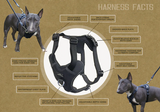 Miro & Makauri Adventurer Training Body Dog Harness