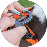 Miro & Makauri Carabina Nylon Lead 2cm x 120cm