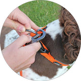 Miro & Makauri Carabina Nylon Lead 2cm x 120cm