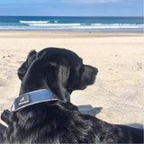 Miro & Makauri Neoprene Padded Nylon Clasp Collar 25mm