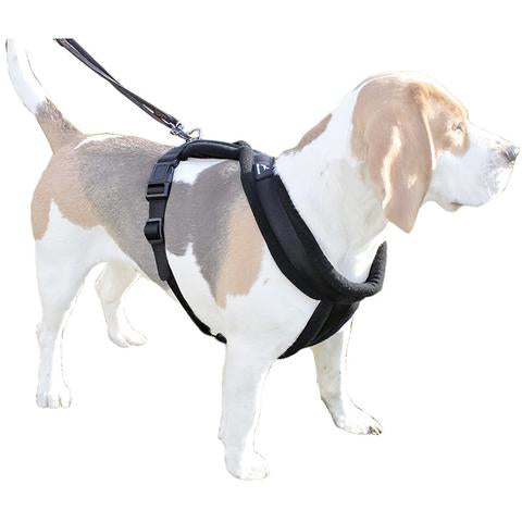 Miro & Makauri Premium Fleece Padded Harness