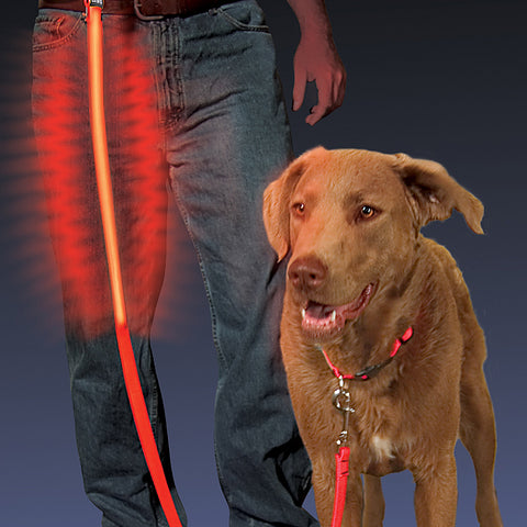 Nite Ize LED Pet Leash