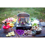 Primus Moja Stove