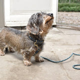 Sophie Allport Rope Collar