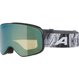 Alpina Slope Q-Lite Snowboard & Ski Goggle