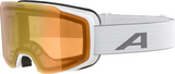Alpina Taos Q-Lite Snowboard & Ski Goggle