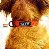 FELLDOG Drench Collar Orange