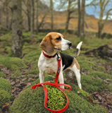 FELLDOG Drench Lead Black
