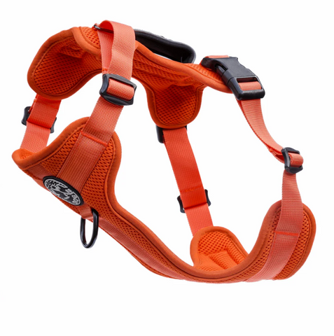 FELLDOG Helvellyn Harness Camp Fire Orange