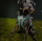 FELLDOG Helvellyn Harness Forest