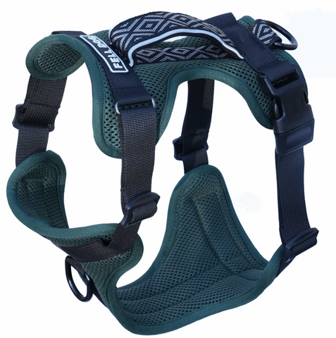 FELLDOG Helvellyn Harness Forest