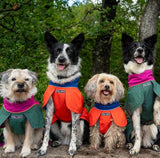 FELLDOG Drench Waterproof Dog Jacket
