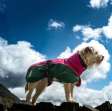 FELLDOG Drench Waterproof Dog Jacket