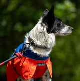FELLDOG Drench Waterproof Dog Jacket