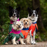 FELLDOG Drench Waterproof Dog Jacket
