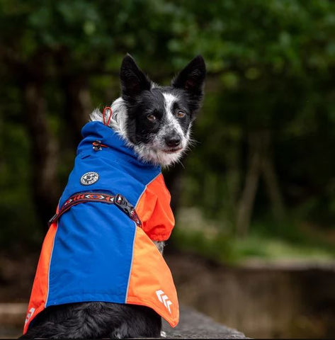 FELLDOG Drench Waterproof Dog Jacket