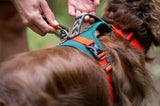 FELLDOG Scafell II Dog Rope Lead
