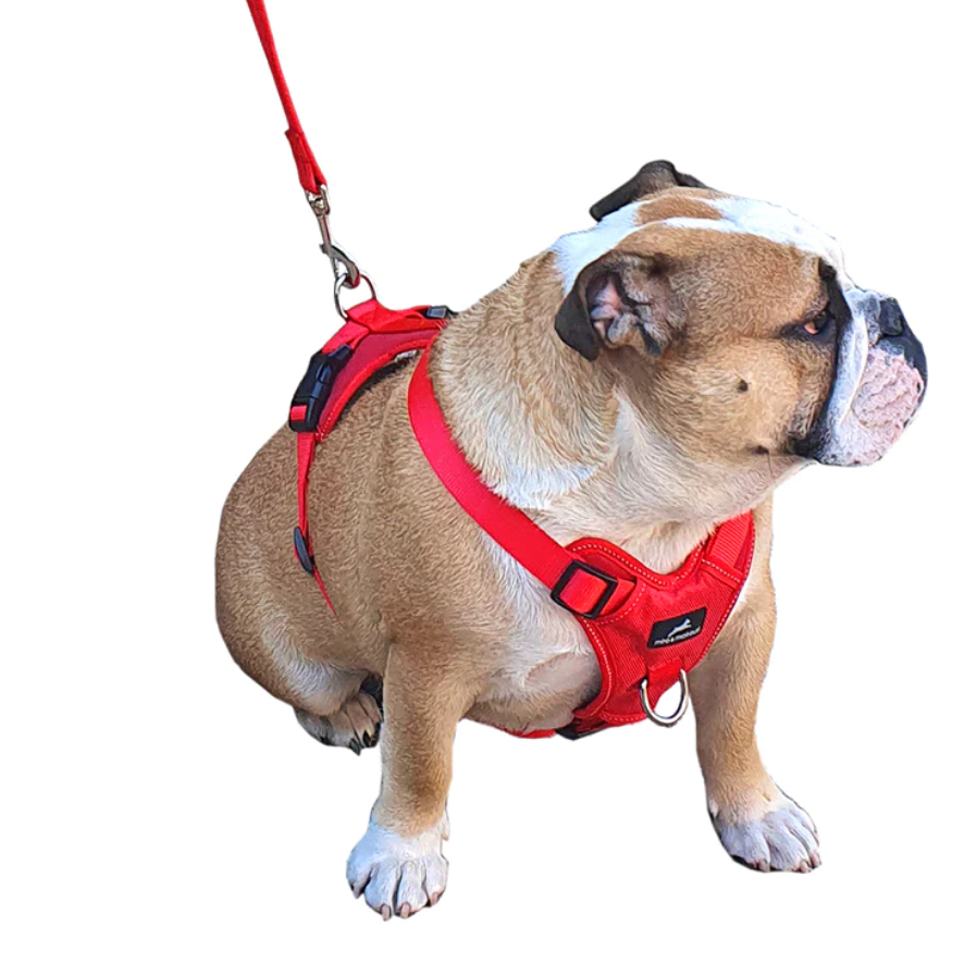 Miro & Makauri Adventurer Training Body Dog Harness Outdoor