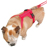 Miro & Makauri Adventurer Training Body Dog Harness