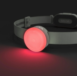 Silva Smini Headlamp Rose With Rear Light