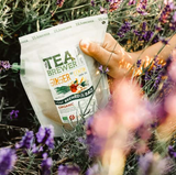 The Brew Company Ginger and Lemon Tea Brewer