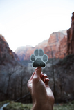 WILDTREE Adventure Paw Sticker