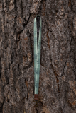 WILDTREE Foggy Forest Neck Lanyard