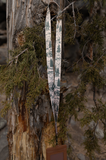 WILDTREE Woodland Landscape Neck Lanyard