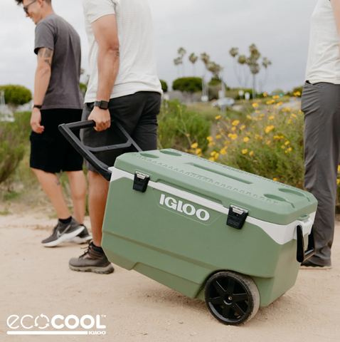 Igloo latitude roller top 90 qt cooler